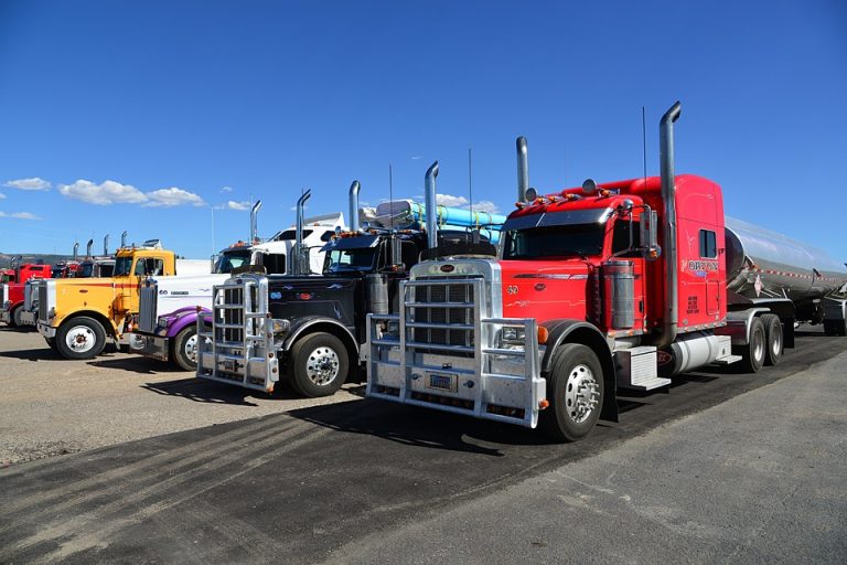 Row of colorful Peterbilt semi-trucks parked at a truck stop, representing a growing trucking industry and CDL career opportunities